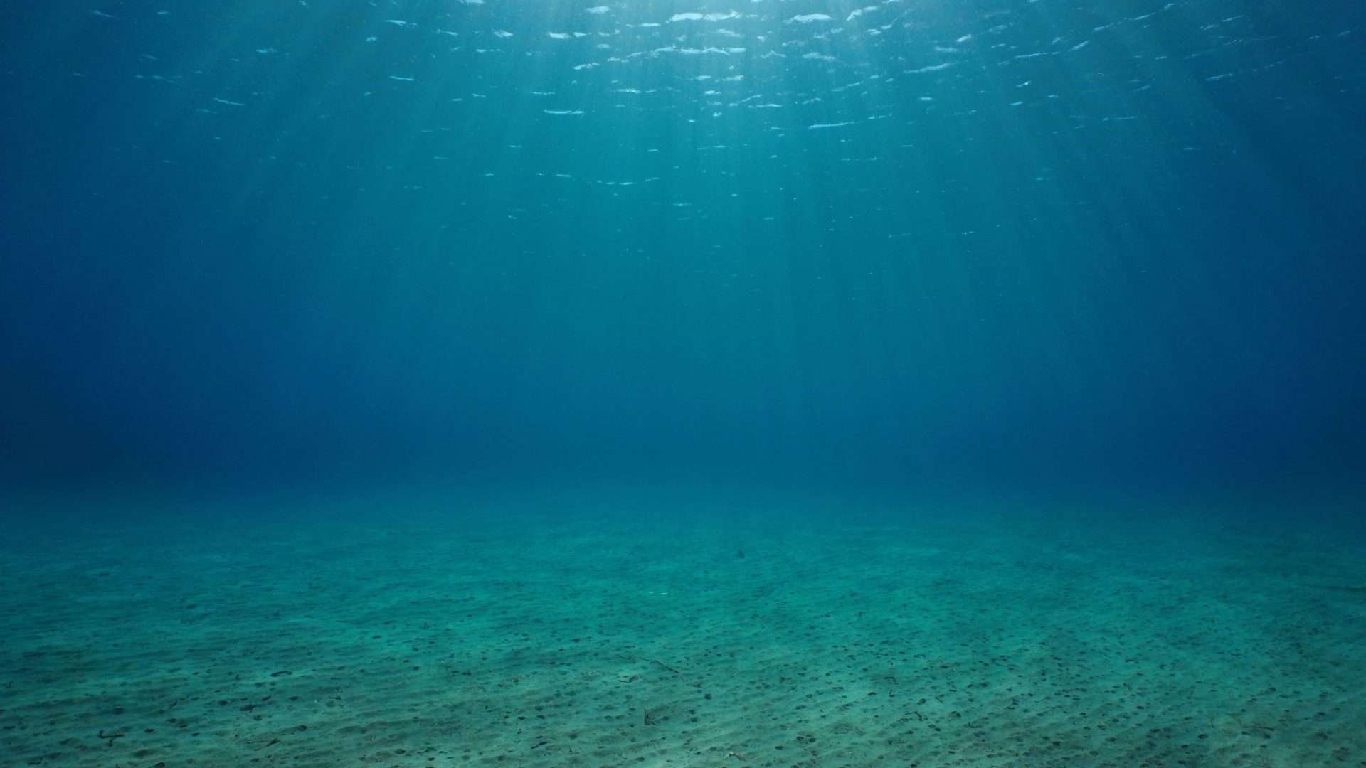 Cientistas fazem alerta sobre os impactos crescentes da elevação do nível do mar